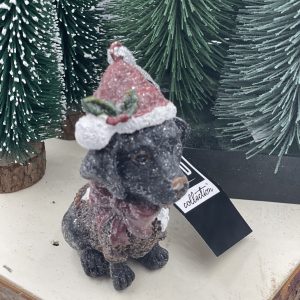 Pes 5. – Obrázok 3