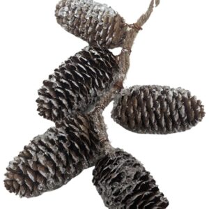 Zamrznuté šišky 5ks 7cm