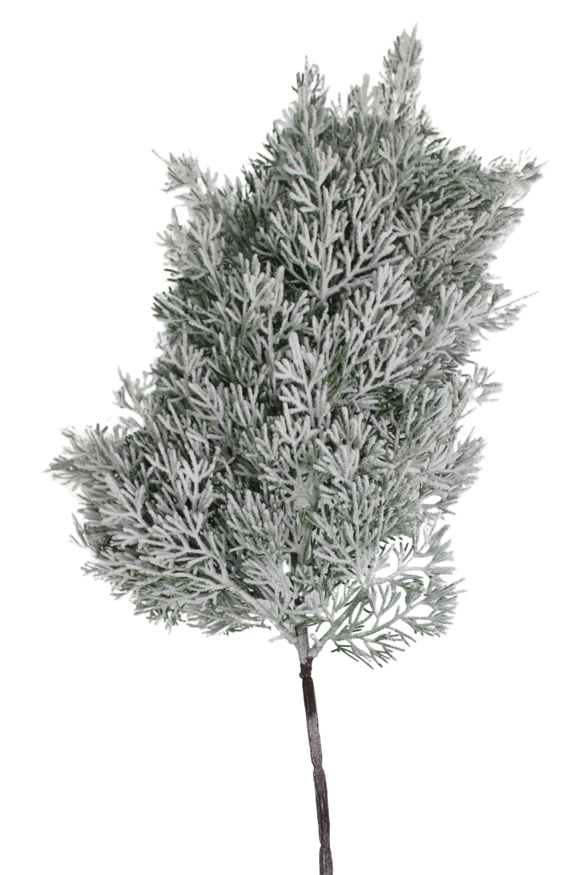 Zasnežený konár tuje 60cm